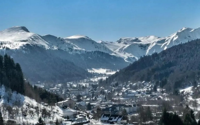 Appartement Mont-Dore, 2 pièces, 4 personnes - FR-1-415-110