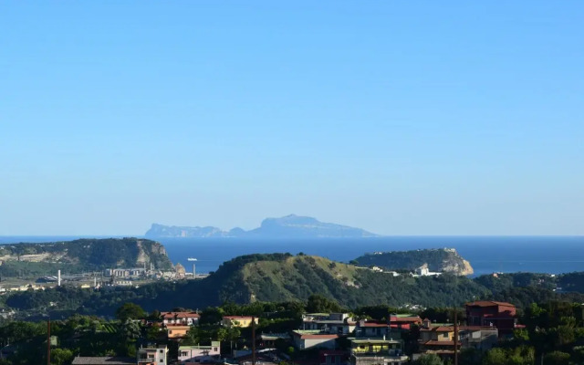 Tenuta Polverino