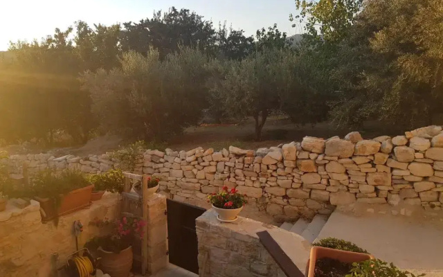 Xenia 2