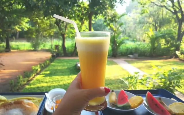 The Cattleya Guest House