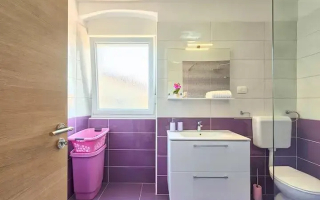 Apartment Viola ,2019