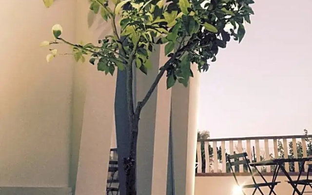 Corte Sveva B&B