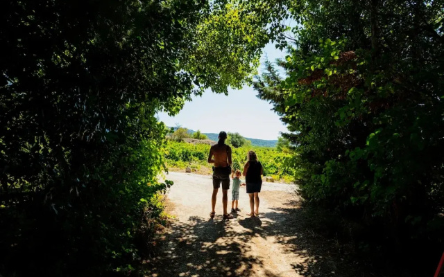 Camping la Peiriere - Lodge en Pays Cathare