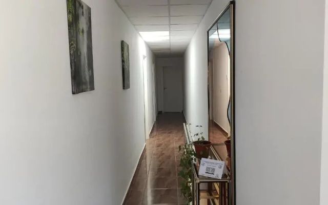 La Fragua de Paco 1