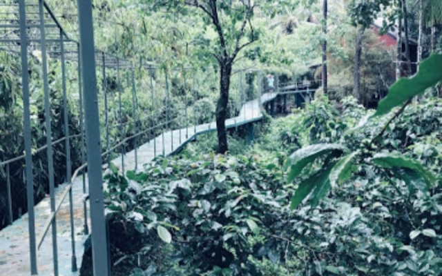 Riverwood Resort