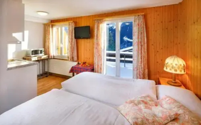 Chalet Altenhaus