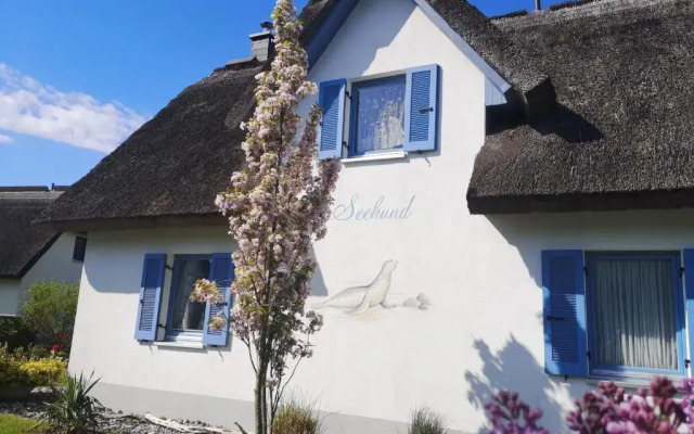 Ferienhaus-Seehund