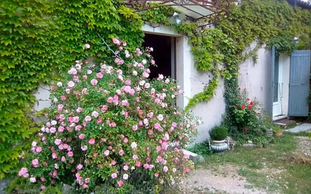 Le Domaine de Belle (Adults Only)
