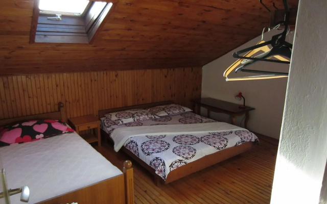 Apartment Marija - close to the sea: A2 Bibinje, Zadar riviera