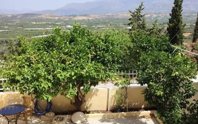Serenity Courtyard village apartment