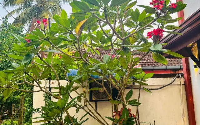 Vista BnB Galle