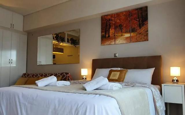 Cozy Luxury Apartment in the Heart of Athens 8-1