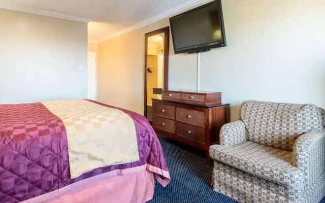 Queencity Inn