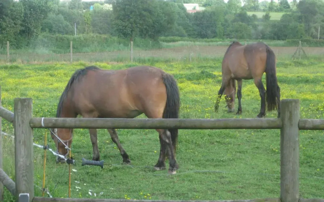 Les Croisettes