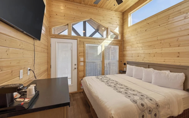 Cozy Tiny Home with Loft Sleeps 6
