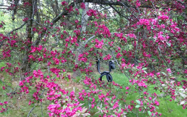The Garden Bee Bed & Breakfast