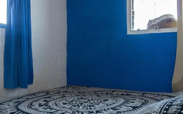 Viejo Lobo