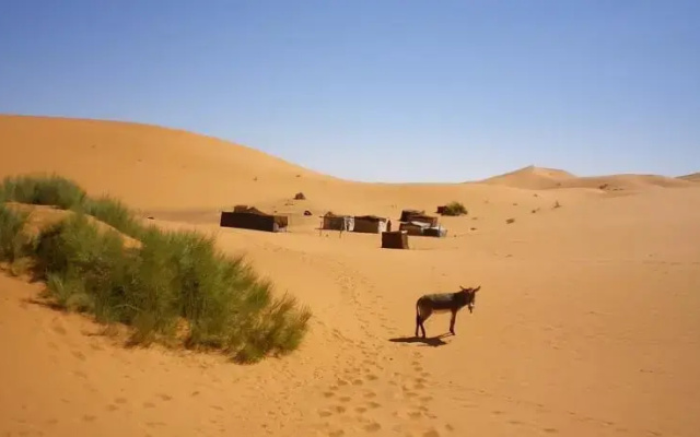 Nomad Familly Camp