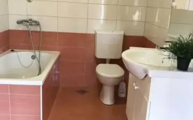 Apartment Antiša