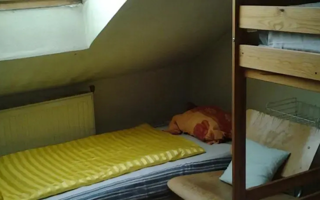 Apricot Hostel