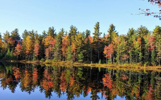 Tentrr - Pondwood Pines in Wonalancet