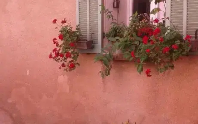 Le petit nid de Zaou