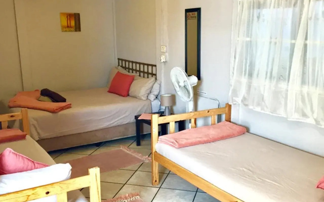 Jembjo's Knysna Lodge & Backpackers