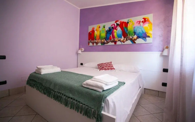 B&B Trepo