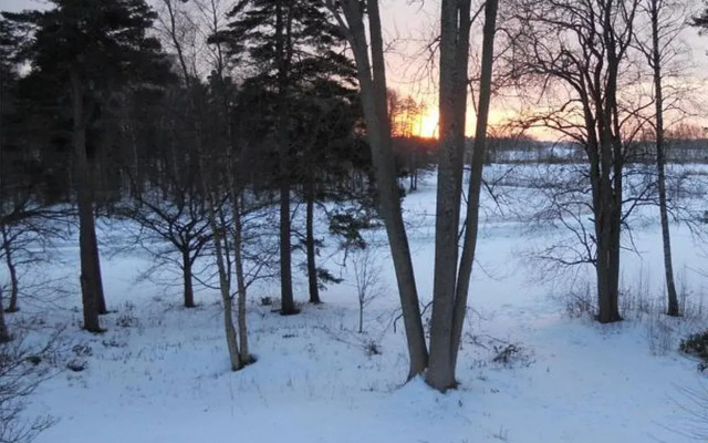 The Viking Farm Bed and Breakfast