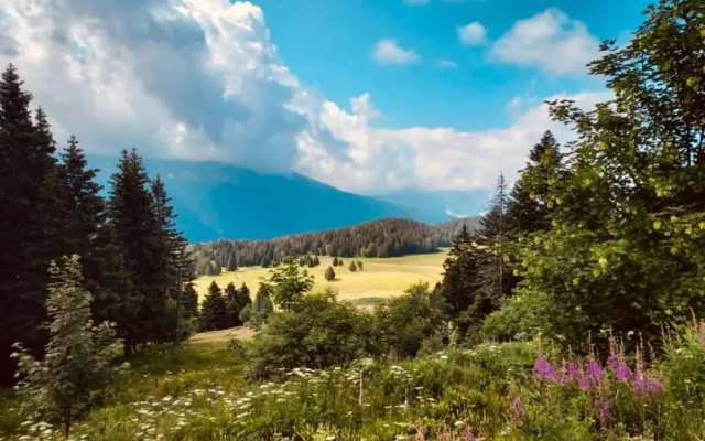 Mountain Bliss at Chamrousse Base