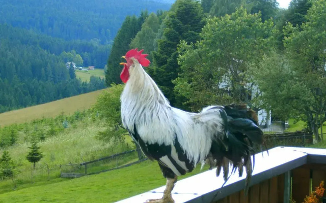 Pension Reindlhöh