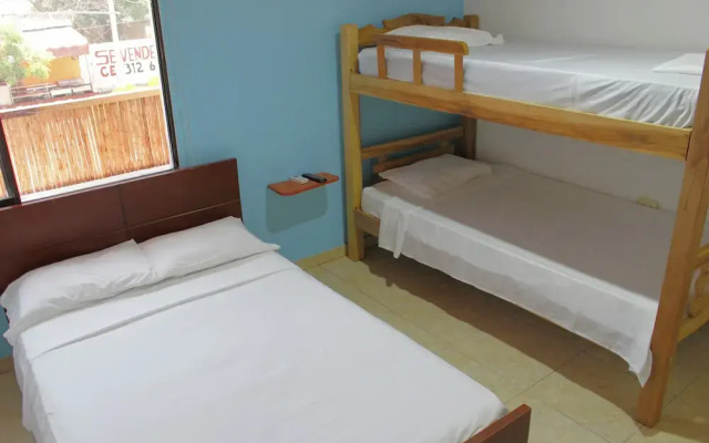 Hostal Kiwi B&B