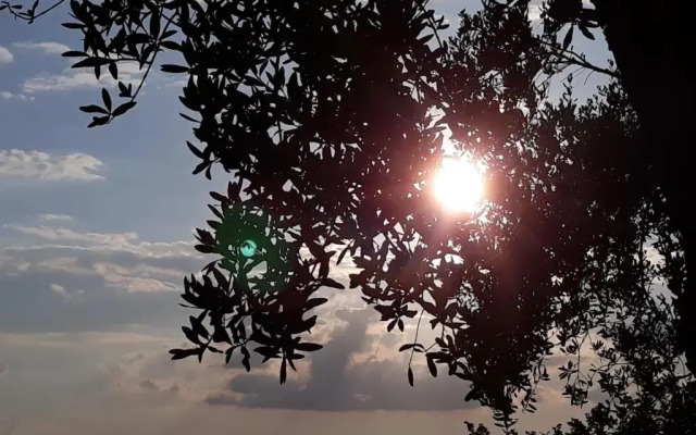 L Orto Sul Poggio