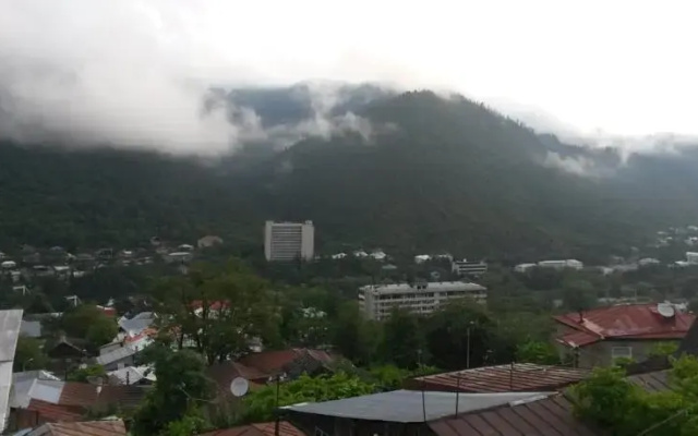 Villa "Borjomi"