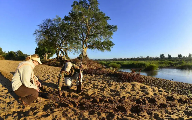 Mtomeni Safari Camp