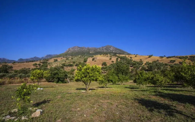 Casa Rural Huerta Terrona