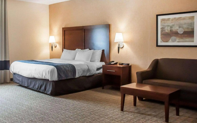 Comfort Inn & Suites Hamburg - Buffalo South