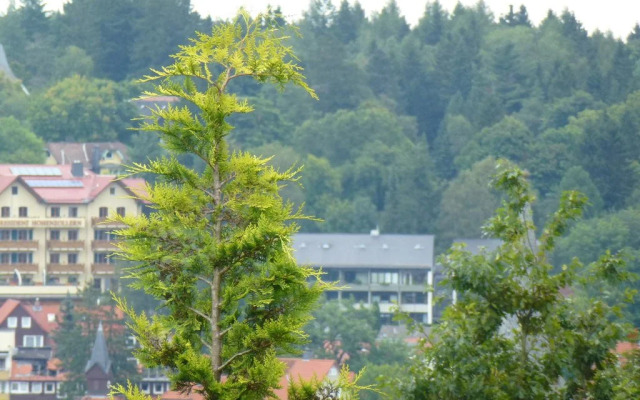 Harzhaus Willkommen