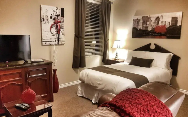 Cozy Studio #15 by Amazing Property Rentals