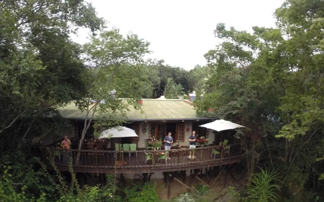 Old Joe's Kaia
