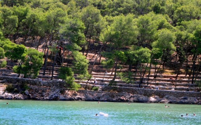 Apartment Jasna - 300 m from sea: A2 Nado  Jelsa, Island Hvar