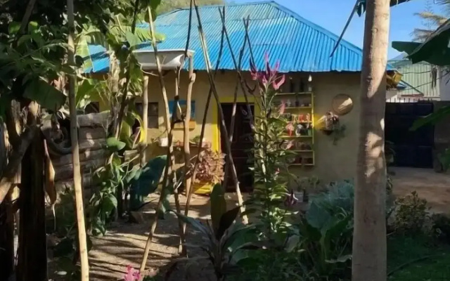 Banana shade hostel