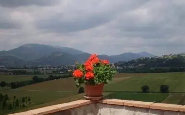 Agriturismo Coppo