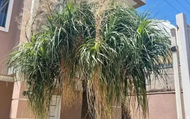 Casa Luxo com Piscina de Borda Infinita