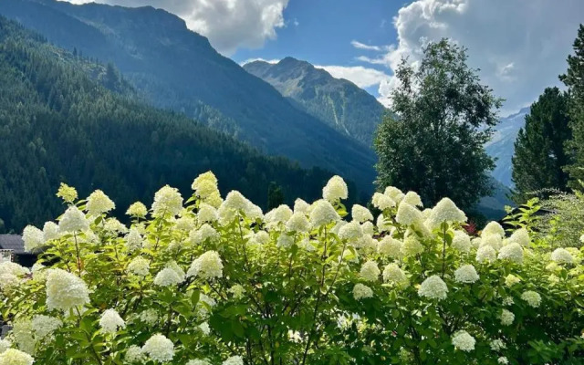 Ferienwohnung Wald