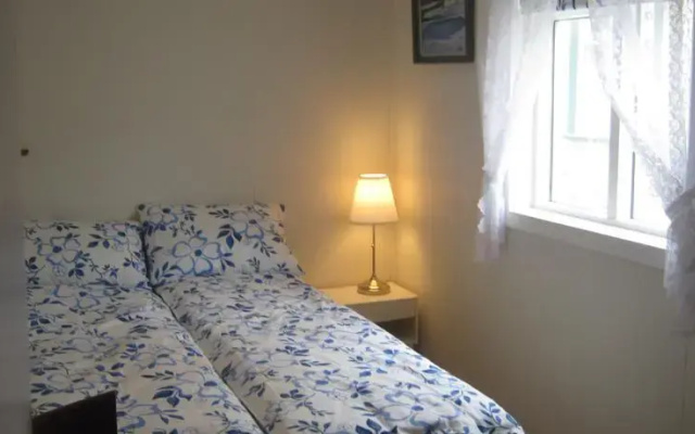 Cozy Little House in Vik