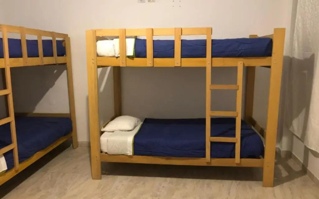 Buganvilia