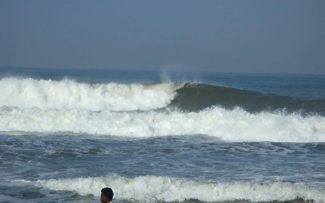 Gumnut Beach House Homestay