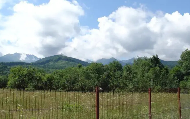 Cabana Mesteacanul