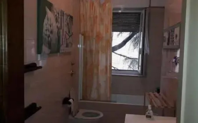 Lotus B&B